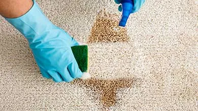 A person wearing blue rubber gloves removes a brown stain from a beige carpet using a green sponge and blue spray bottle.